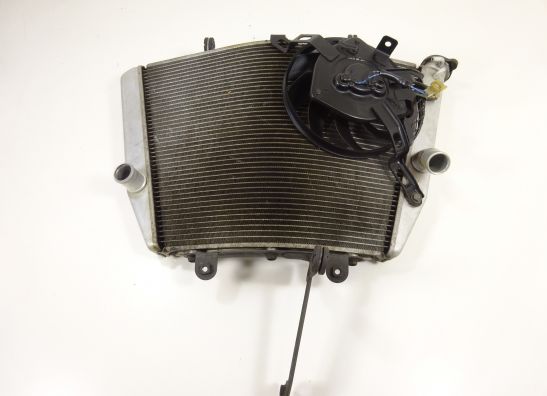 Radiator Suzuki GSX R 1000