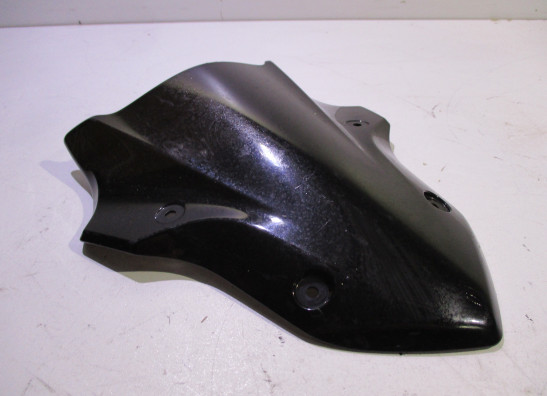 Windscreen Kawasaki Z 900