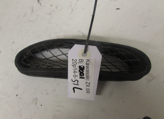 Linker luchtbuis Kawasaki ZX 6 R