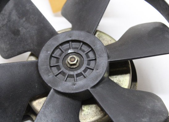 Fan Honda RVF 750 R - RC45