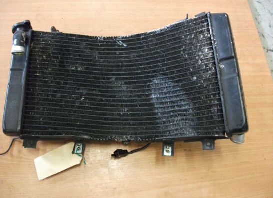 Radiator Suzuki GSX R 1300 Hayabusa