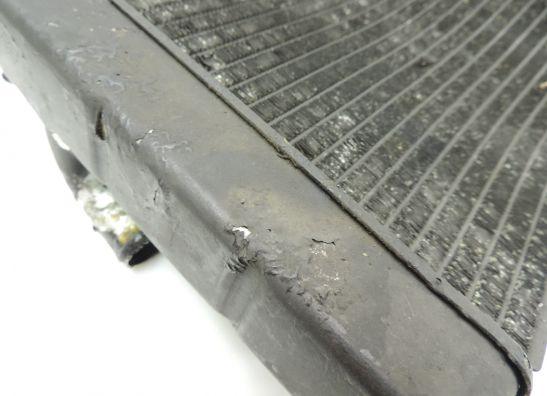 Kuhler Honda CBR 900 RR