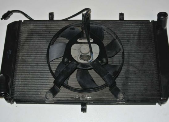 Radiateur Kawasaki Z 1000