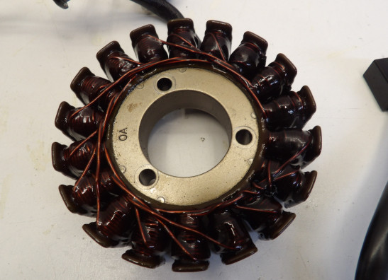 Dynamo Suzuki SV 650