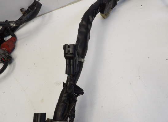 Kabelboom Honda CBF 1000