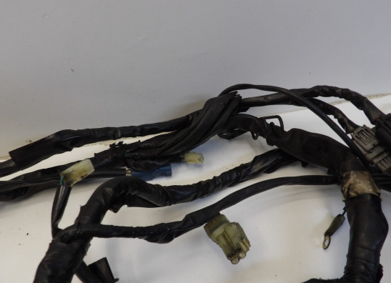 Kabelboom Honda CBF 1000