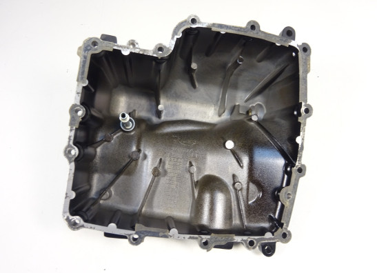 Carterpan Triumph Street Triple 675