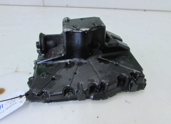 Carterpan Kawasaki Z 1000