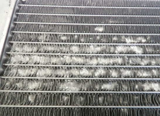 Radiator Honda VT 700 750