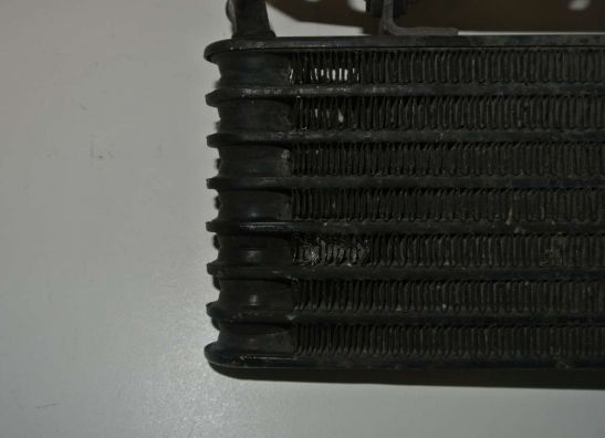 Olkuhler Aprilia RSV 1000