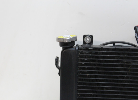 Radiateur Aprilia Tuono 660