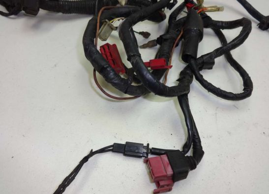 Wire Harness Honda CBR 1000 F