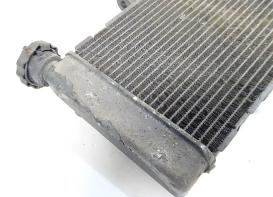 Kuhler Honda NC 700 X