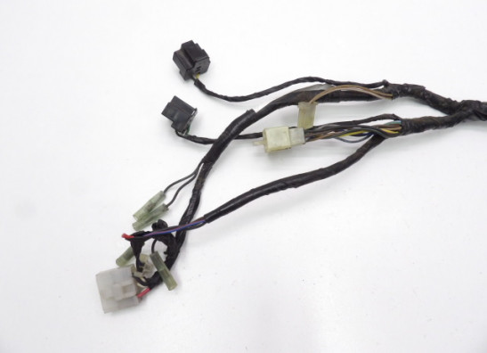 Wire harness front Yamaha XTZ Tenere