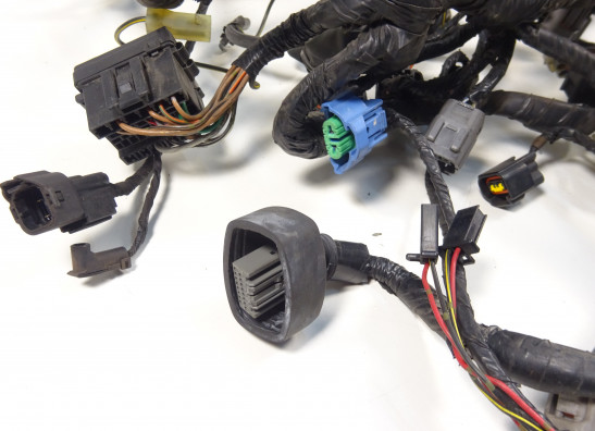 Kabelbaum Kawasaki ER 6