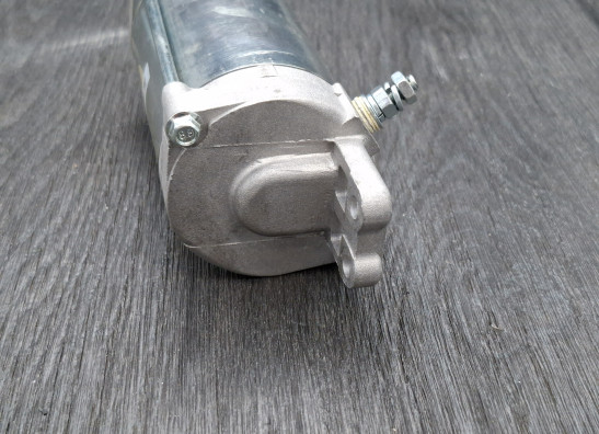 Startmotor Suzuki LS 650