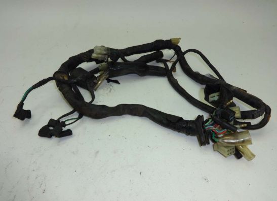 Wire Harness Honda CMX 250 