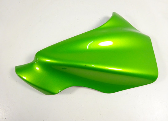 Linker topkuip Kawasaki ER 6