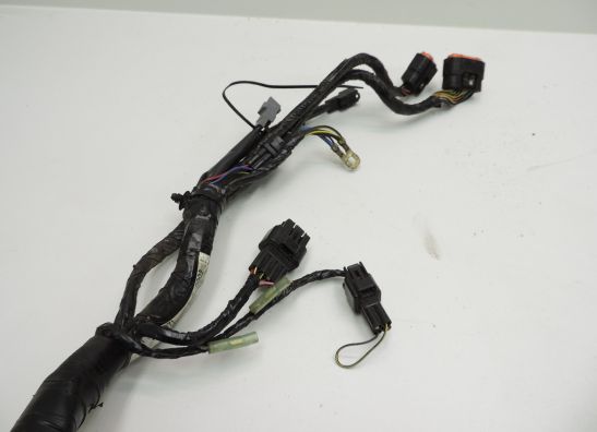 Wire Harness Kawasaki ER 6