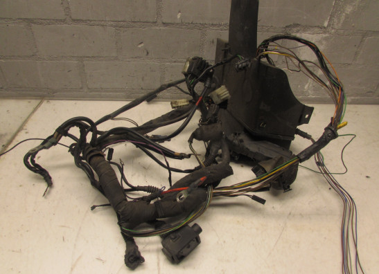 Wire Harness BMW R 850 R