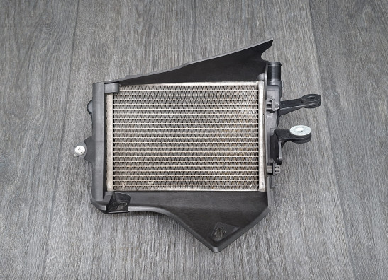 Radiateur BMW R 1250 GS Adventure