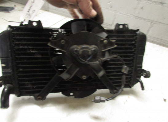 Radiateur Yamaha FZR 600