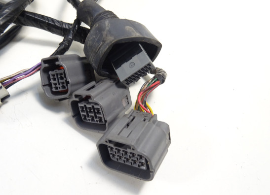 Wire Harness Kawasaki ZX 10 R