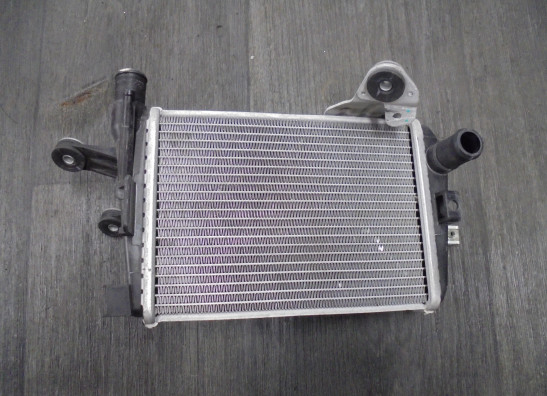 Radiateur BMW R 1250 GS Adventure 2018-2020, 2021-2022