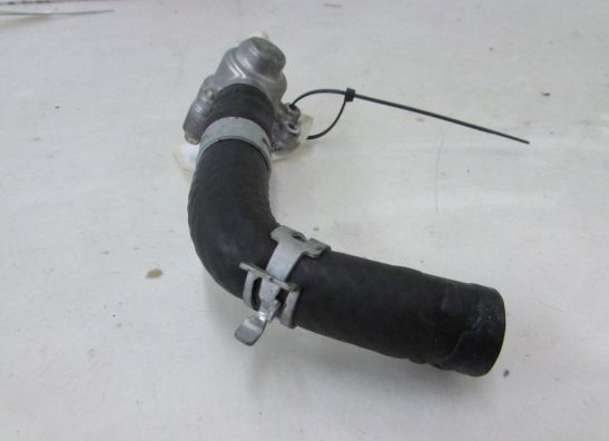 Thermostaat Kawasaki Z 300