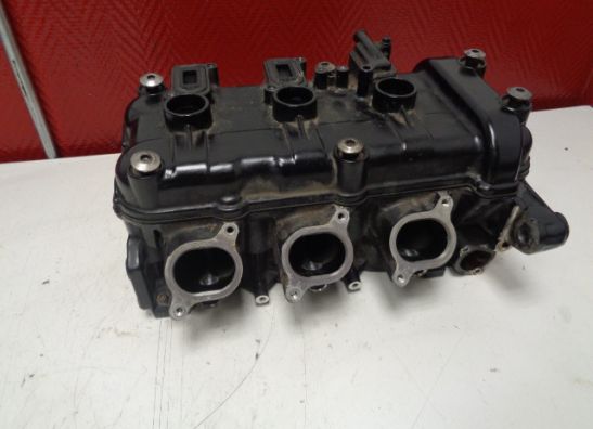 Zylinderkopf Triumph Tiger 1050