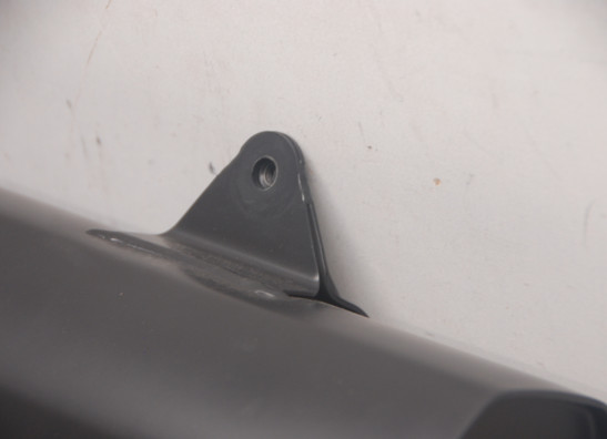 Auspuff Harley Davidson Pan America