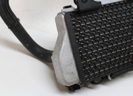 Radiateur Honda CRF 1100 Africa Twin