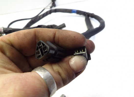 Kabelboom Suzuki GSF 600 650 Bandit 