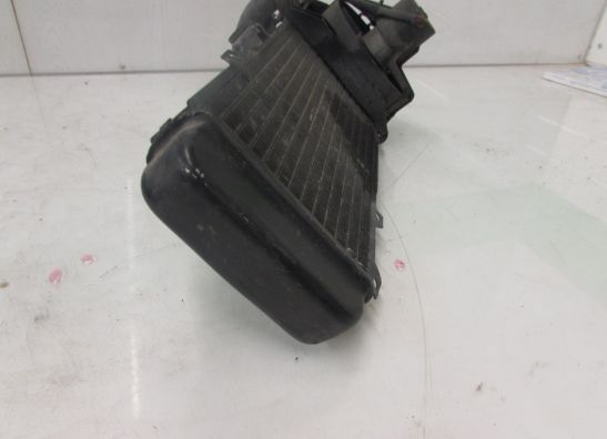 Radiateur Suzuki GSF 600 650 Bandit 