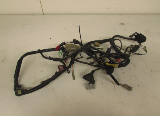 Wire Harness Honda CBR 600 F