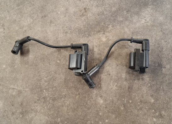 Bobine Ducati Monster 797