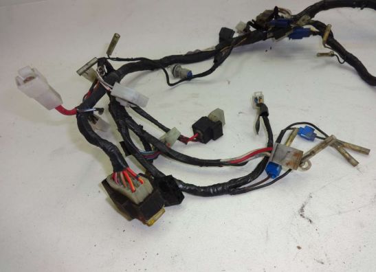 Kabelbaum Yamaha FZR 600