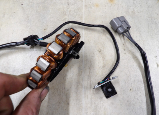 Dynamo Triumph Tiger 900 Rally Pro