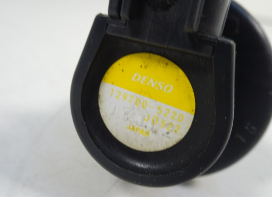 Bobine Triumph Tiger 1050