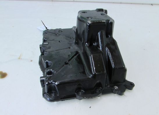 Carterpan Kawasaki Z 1000