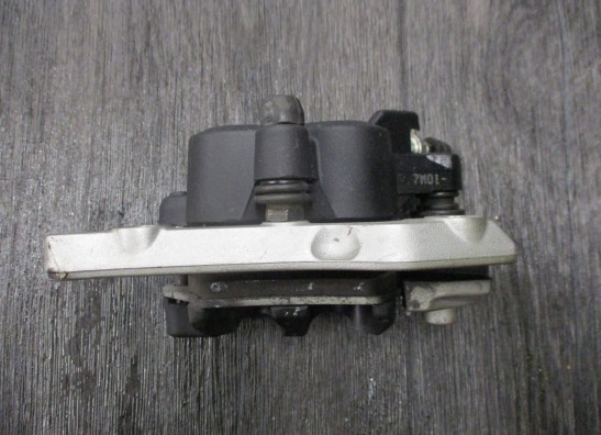 Achter remklauw BMW R Nine T Pure