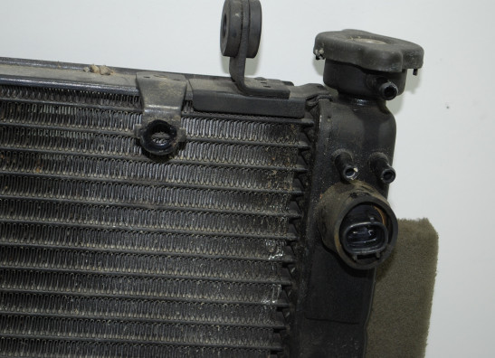 Radiator Yamaha YZF R6