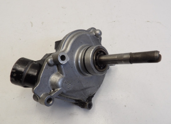 Wasserpumpe Yamaha FZR 1000