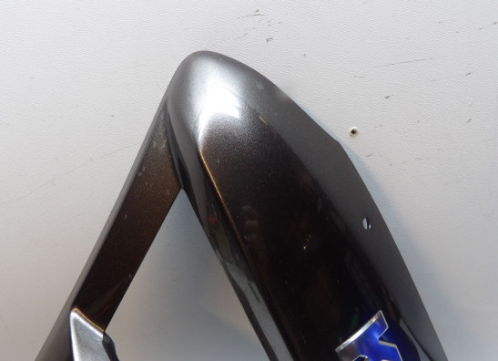 Linker zijkuip Kawasaki GTR 1400