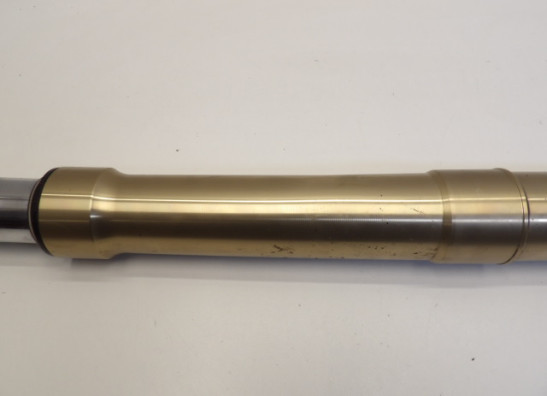 Standrohr Gabelholm links komplett BMW R 1200 GS