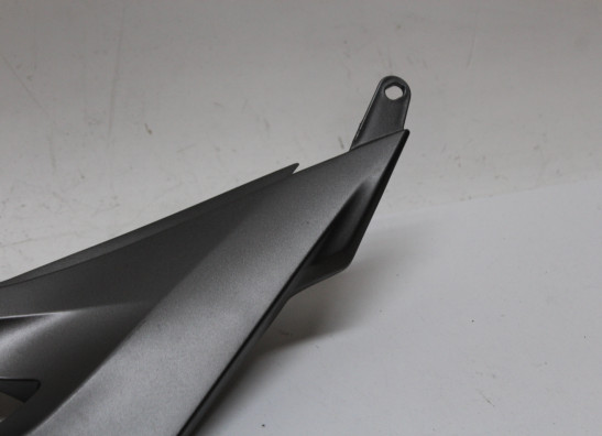 Tankcover BMW S 1000 R