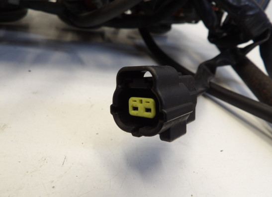 Einspritzanlage Yamaha YZF R1