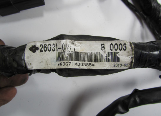 Kabelbaum Kawasaki Z 1000