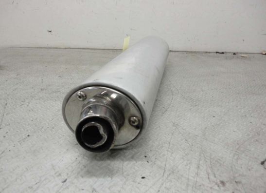 Auspuff Suzuki SV 1000