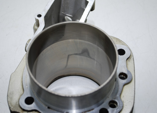 Zylinder BMW R 1100 GS